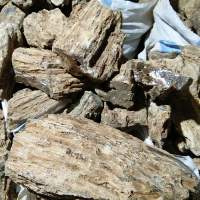 Dammar Gum Bombay or Mix