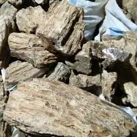 Dammar Gum Bombay or Mix
