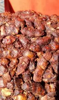 Tamarind 