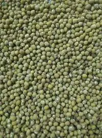 Green Mung Beans