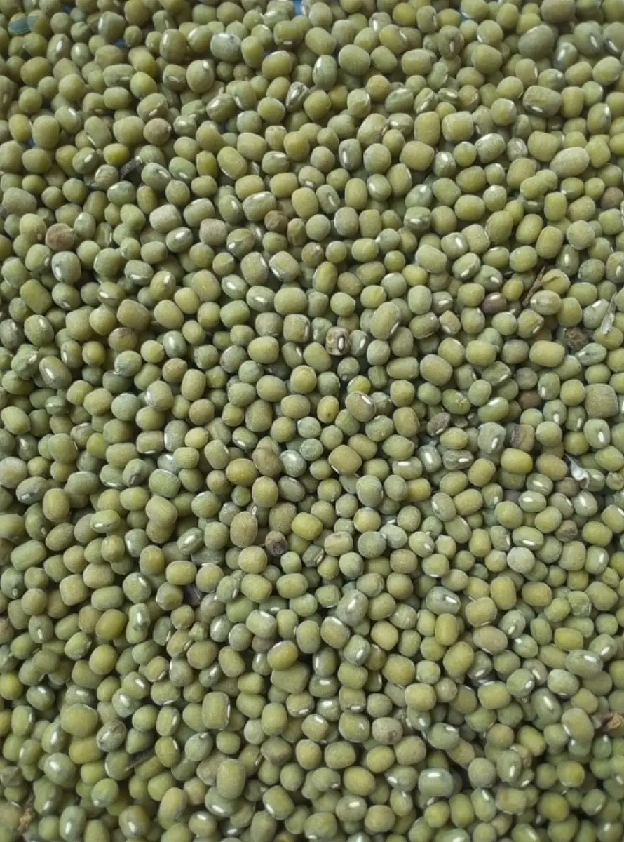 Green Mung Beans