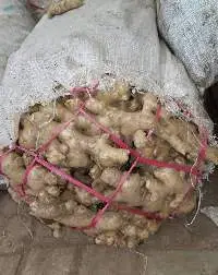 Fresh Ginger
