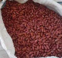 Red Bean