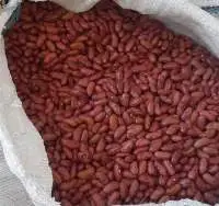 Red Bean