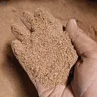 Nutmeg Dust