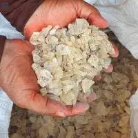 GUM COPAL PWS