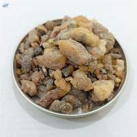 Gum Benzoin