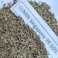 Cumin Seed