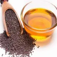 Rapeseed Oil