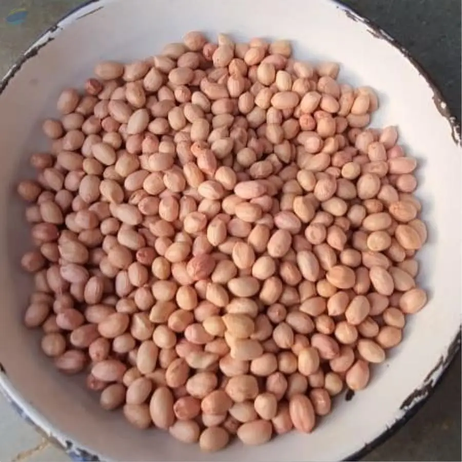 Peanut