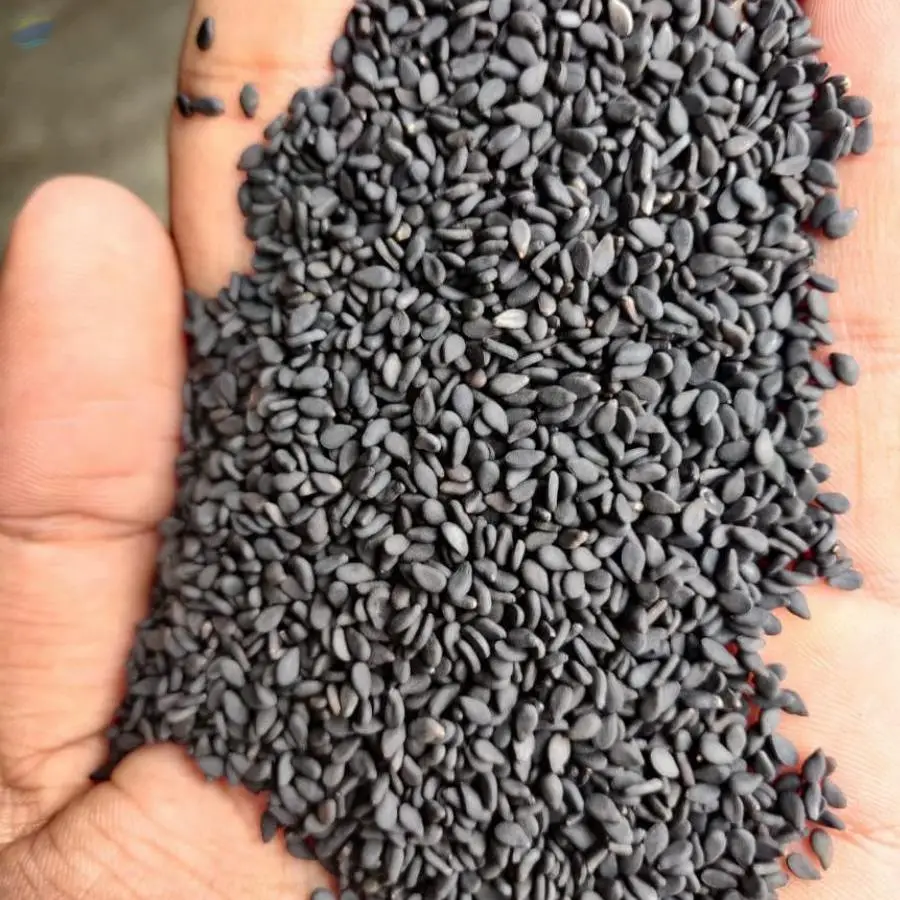 Black Sesame Seed