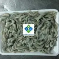 Frozen Baby Natural Shrimp (Riceland Shrimp)