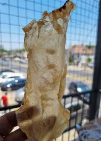 Fish Maw Ling Dried