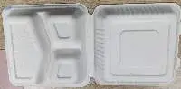 Sugarcane Bagasse Container