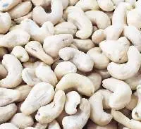 Cashew Nut Kernel WW320