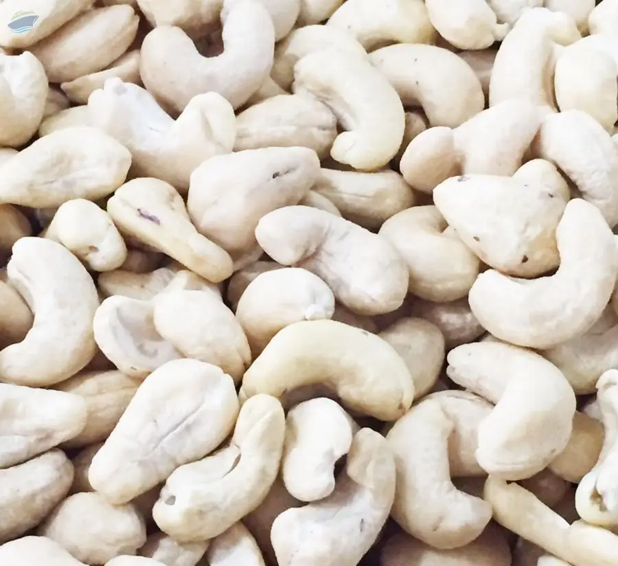 Cashew Nut Kernel WW320