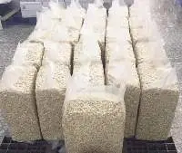 Cashew Nut Kernel WW320