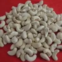 Cashew Kernel