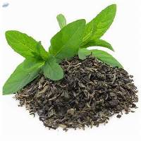 Organic Green Tea Leaves