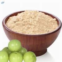 Spray Dried Amla Powder