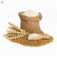 Whole Wheat Atta