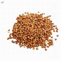 Organic Buck Wheat