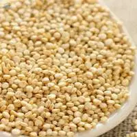 Organic Quinoa Seeds