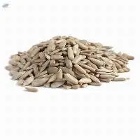Organic Sunflower Seeds