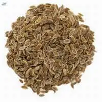 Dill Seeds