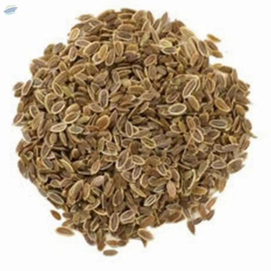 Dill Seeds