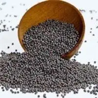 Mustard Seeds
