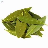 Organic Bay Leaf