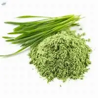 Wheat Grass Powder 