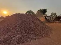 Wood Sawdust