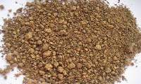 Rapeseed Meal