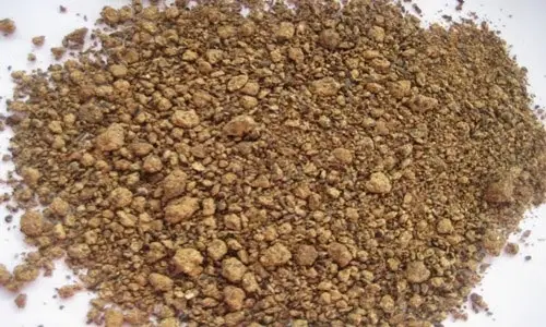 Rapeseed Meal