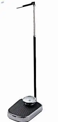 Body Scale With Height