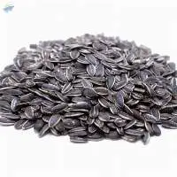 Striped Sunflower Seeds, Pioneer Type