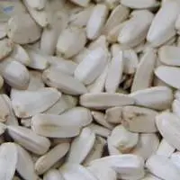 White Sunflower Seeds (for Human Consumption)