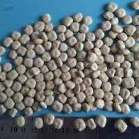 Sortex Sweet Lupine