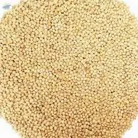 White Millet