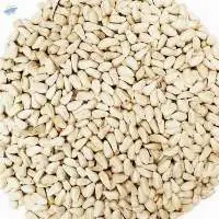 Safflowers Seeds