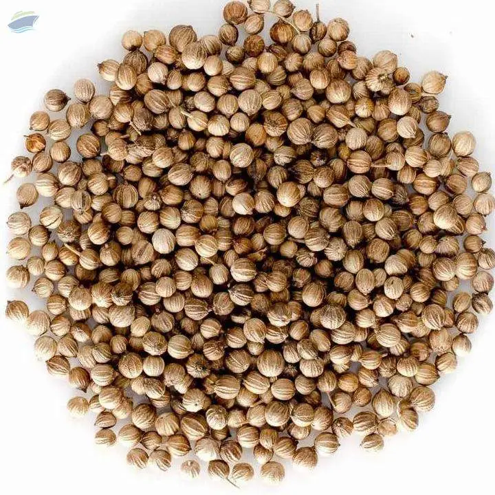 Coriander Whole Seeds