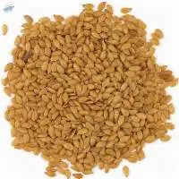 Golden Flax Seeds