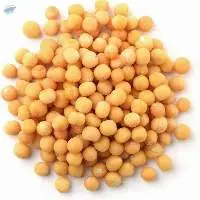 Yellow Peas - For Animal Feed