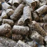 Sugar Beet Pulp