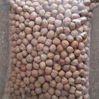 Chickpeas Sortex Cleaned Size 7 + mm