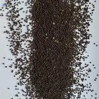 Mustard Seeds
