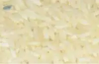 Sona Masuri Rice