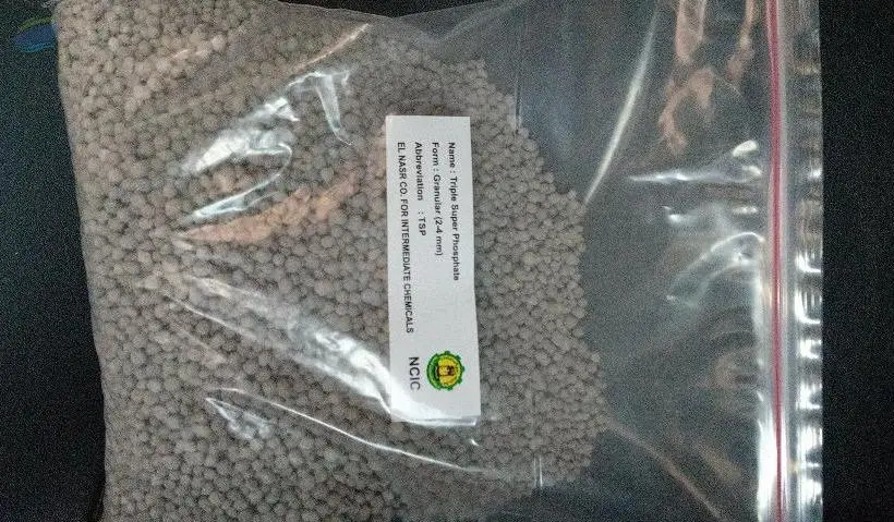 TSP
